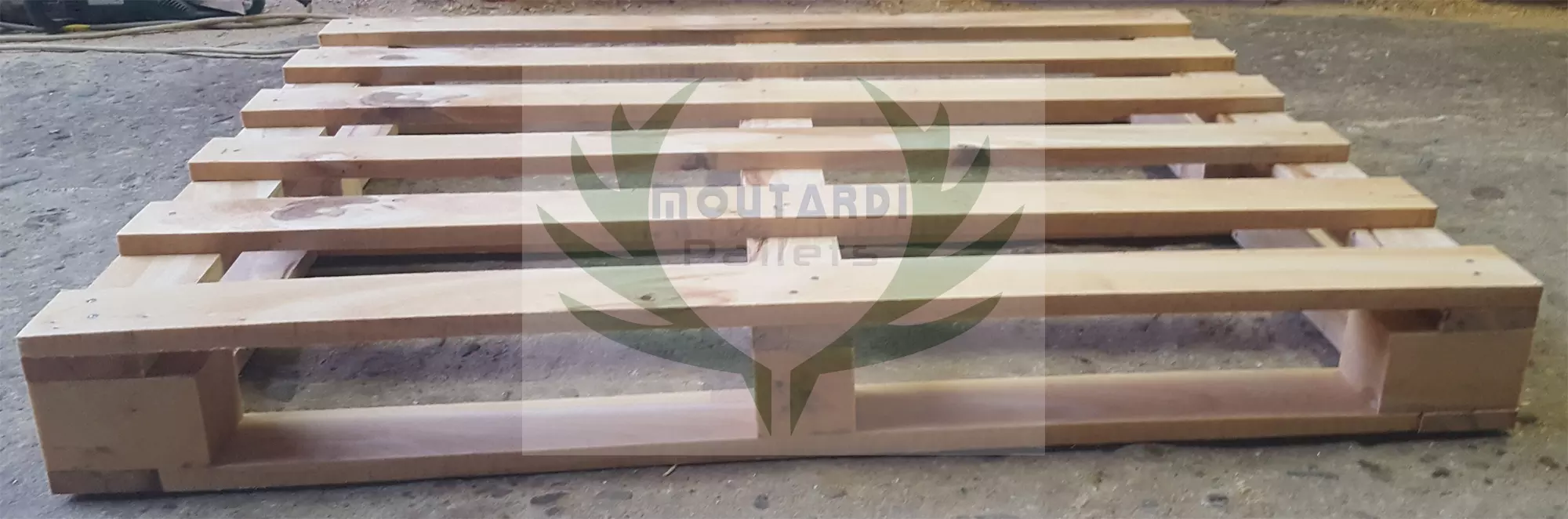 1200X1000 (Galia) - 3