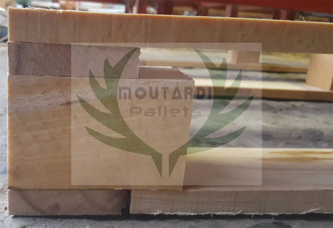 1200X1000 (Galia) - 6